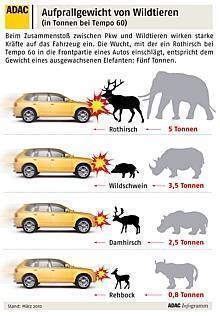 Wildunfall: Aufprallgewicht